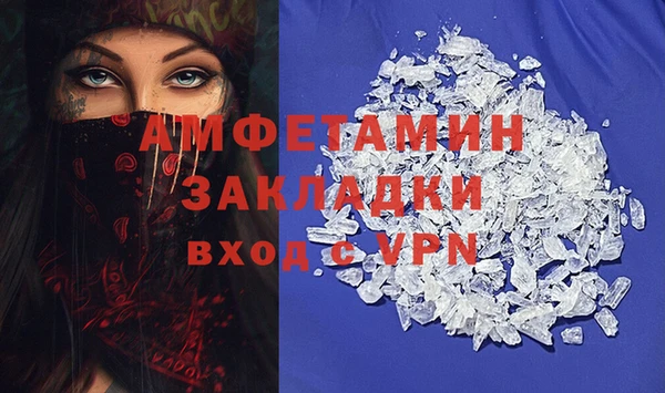 прущие грибы Армянск