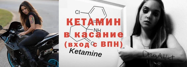 прущие грибы Армянск