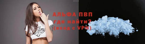 прущие грибы Армянск